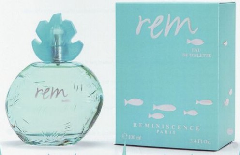 REM Reminiscence